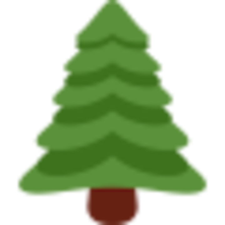 Tucson Tree Service